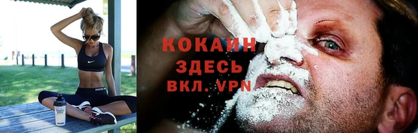 дмт Надым