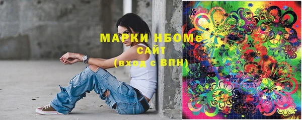 дмт Надым