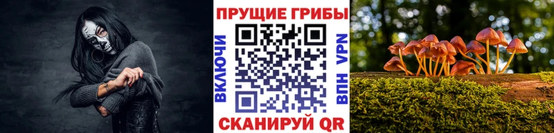 Галлюциногенные грибы MAGIC MUSHROOMS Орлов