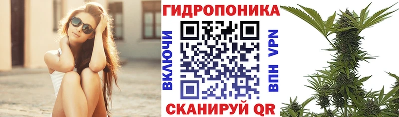 Бошки Шишки White Widow  цена   Орлов 