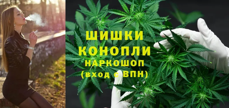 Шишки марихуана THC 21%  наркошоп  Орлов 